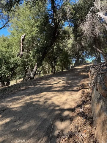 a view of a yard with large trees