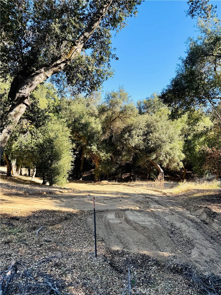 0 Arroyo Road Lake Elsinore, CA 92530 - Photo 23 of 59 a view of dirt yard with a large tree