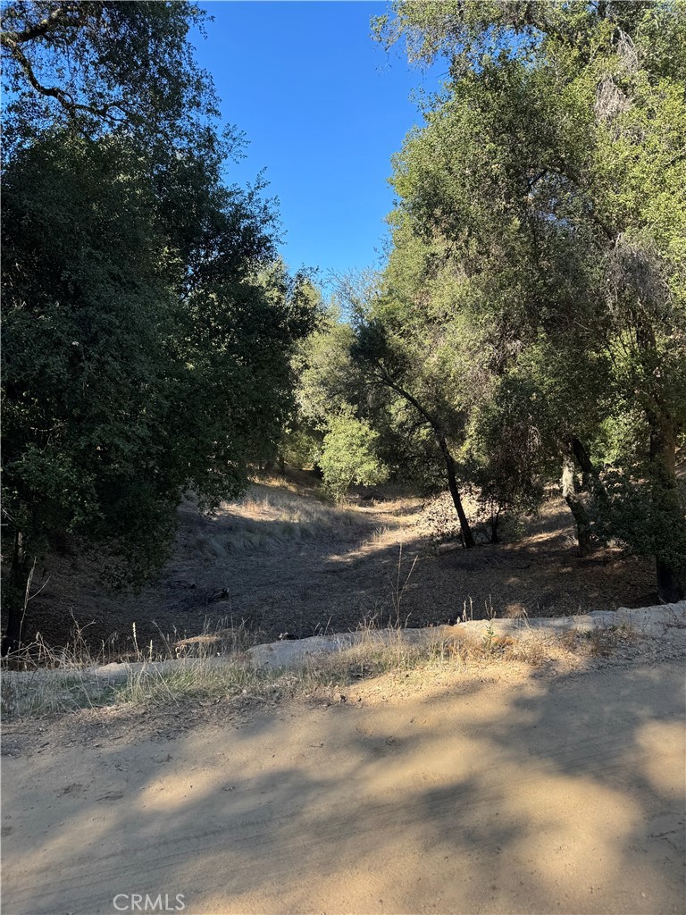 0 Arroyo Road Lake Elsinore, CA 92530 - Photo 26 of 59 a view of a yard with large trees