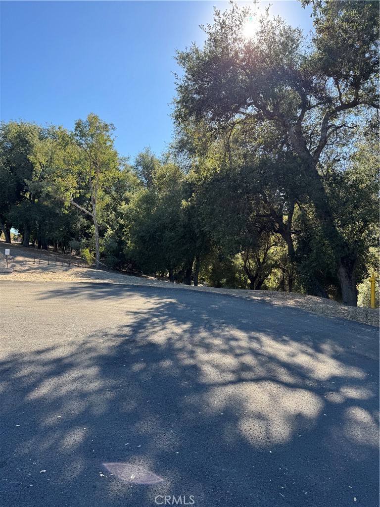 0 Arroyo Road Lake Elsinore, CA 92530 - Photo 5 of 59 a view of road with trees