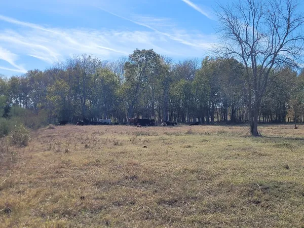 $370,000 | 3 Caney Creek Road, Chappell Hill, TX 77426