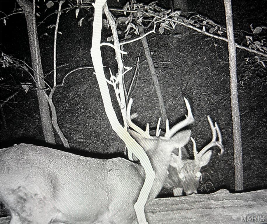 5065 Fox Bridge Road Wildwood, MO 63069 - Photo 59 of 63