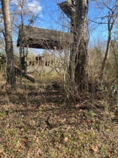 293 Coleman Road Readyville, TN 37149 - Photo 13 of 14 Gallery Image 13