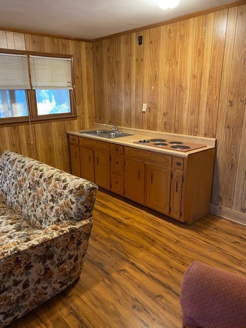 293 Coleman Road Readyville, TN 37149 - Photo 10 of 14 Gallery Image 10