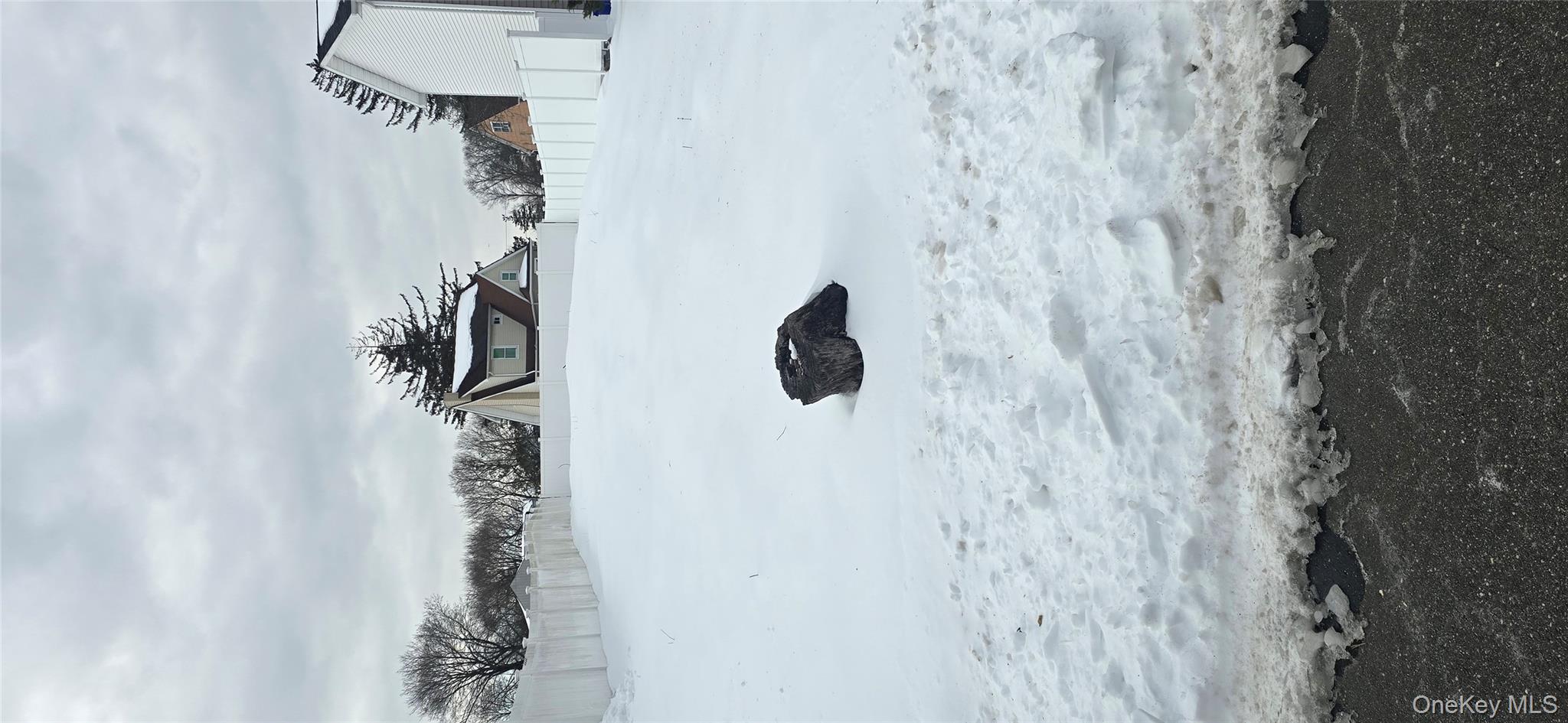 20 Chestnut Street Wyandanch, NY 11798 - Photo 2 of 2