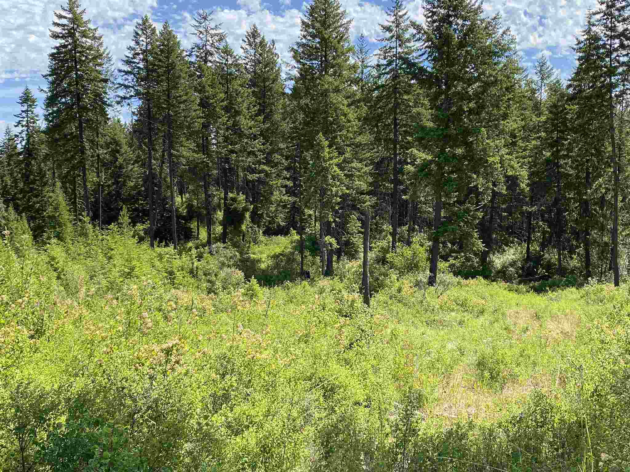 26-xx Clark Lake Road Addy, WA 99101 - Photo 3 of 13