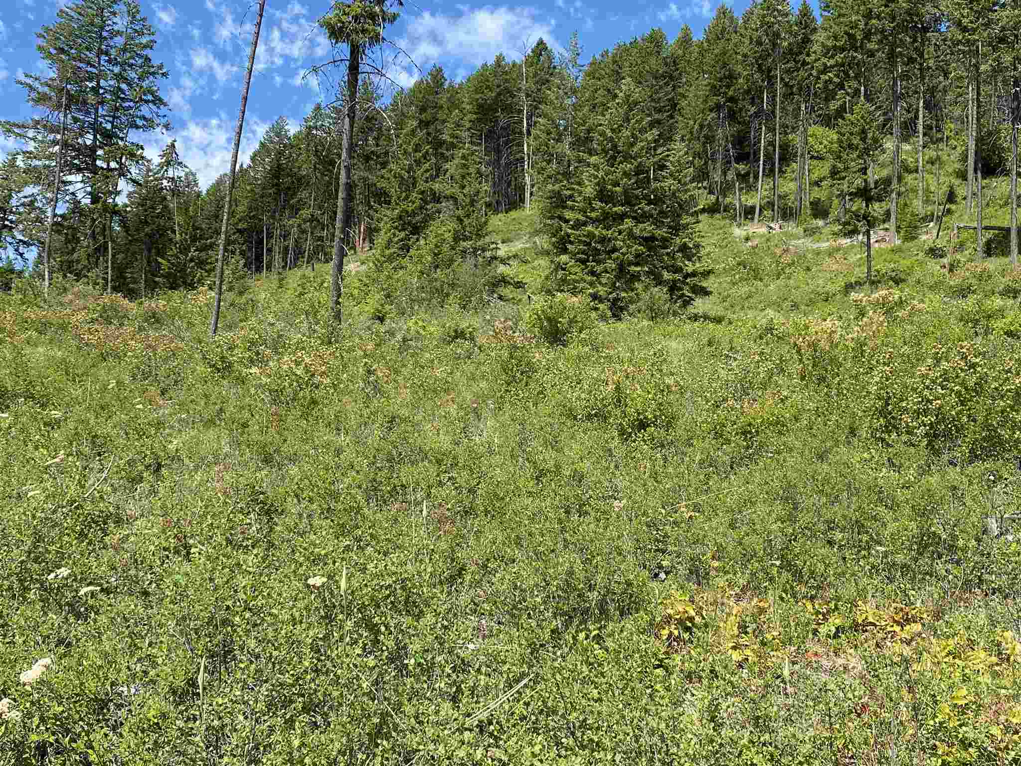 26-xx Clark Lake Road Addy, WA 99101 - Photo 8 of 13