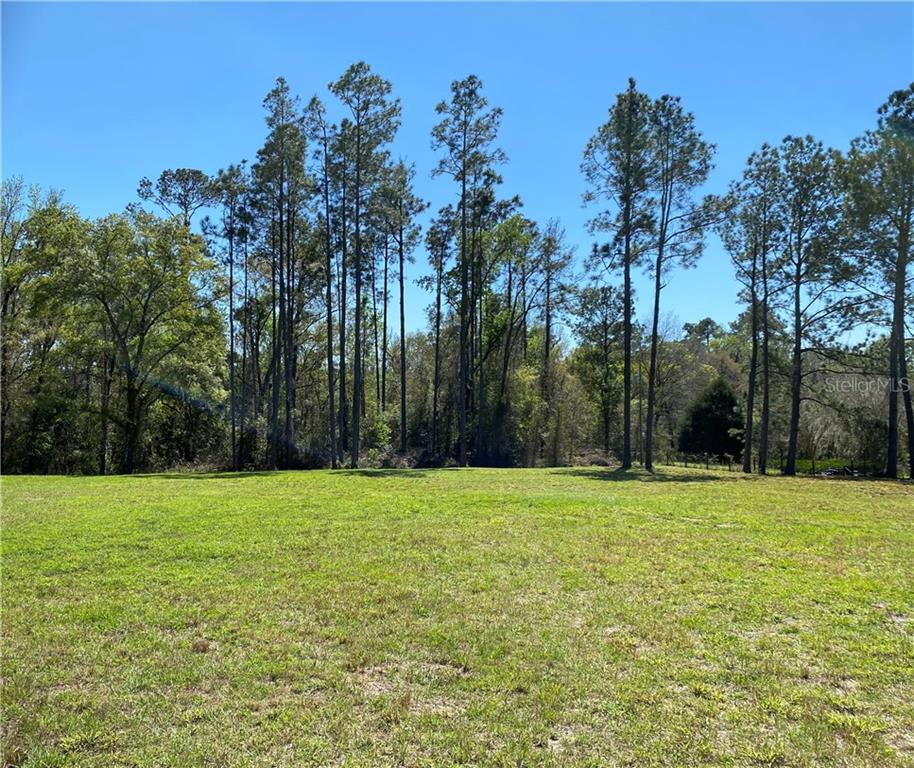 3572 Goldsmith Road Brooksville, FL 34602 - Photo 1 of 1 Gallery Image 1