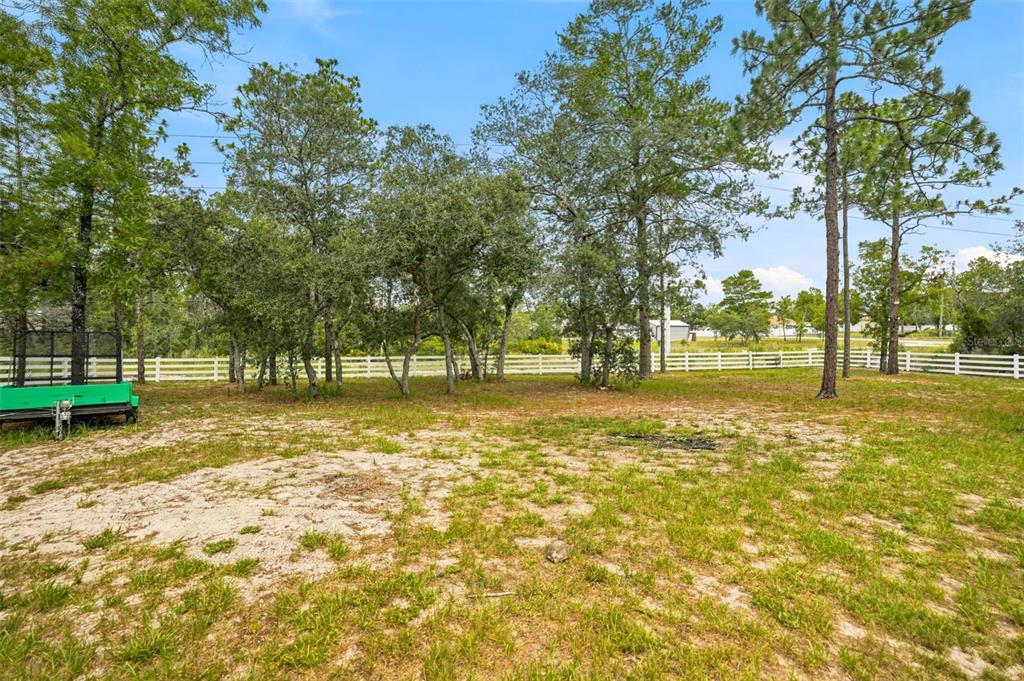 9025 Mazette Road Weeki Wachee, FL 34613 - Photo 90 of 100