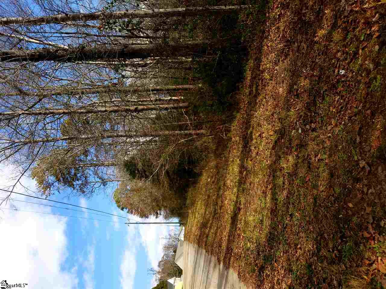 0 Wood Road Taylors, SC 29687 - Photo 2 of 5 Gallery Image 2