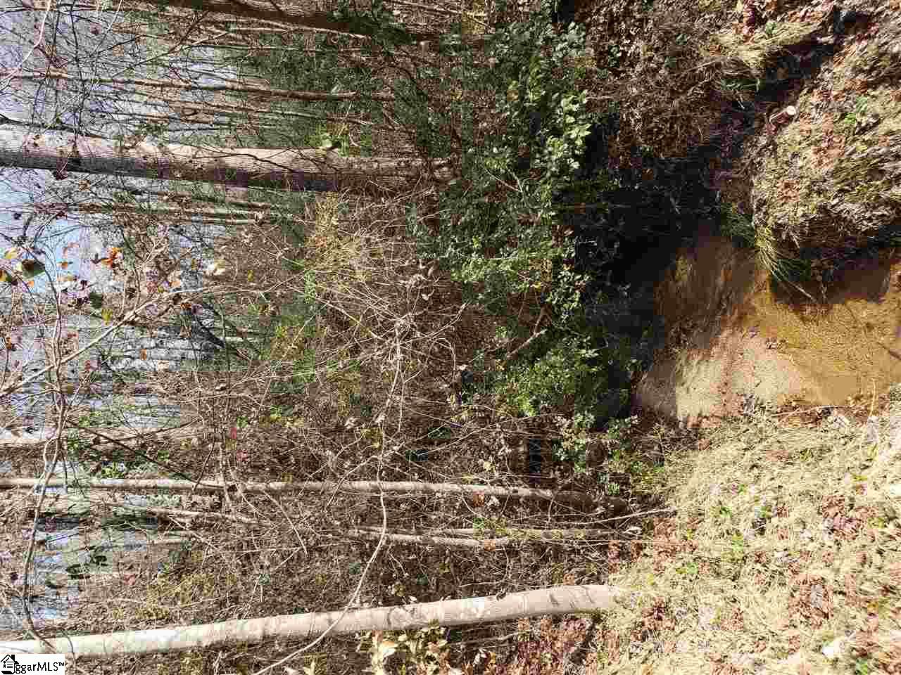 0 Wood Road Taylors, SC 29687 - Photo 3 of 5 Gallery Image 3