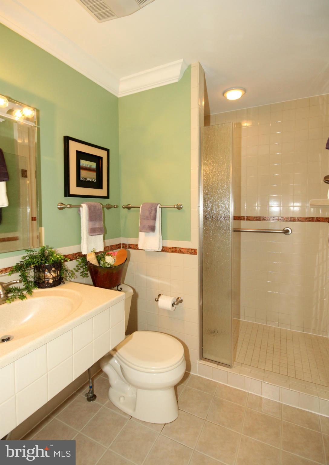 5638 Ravenel Lane Springfield, VA 22151 - Photo 14 of 30 Bath (Master)