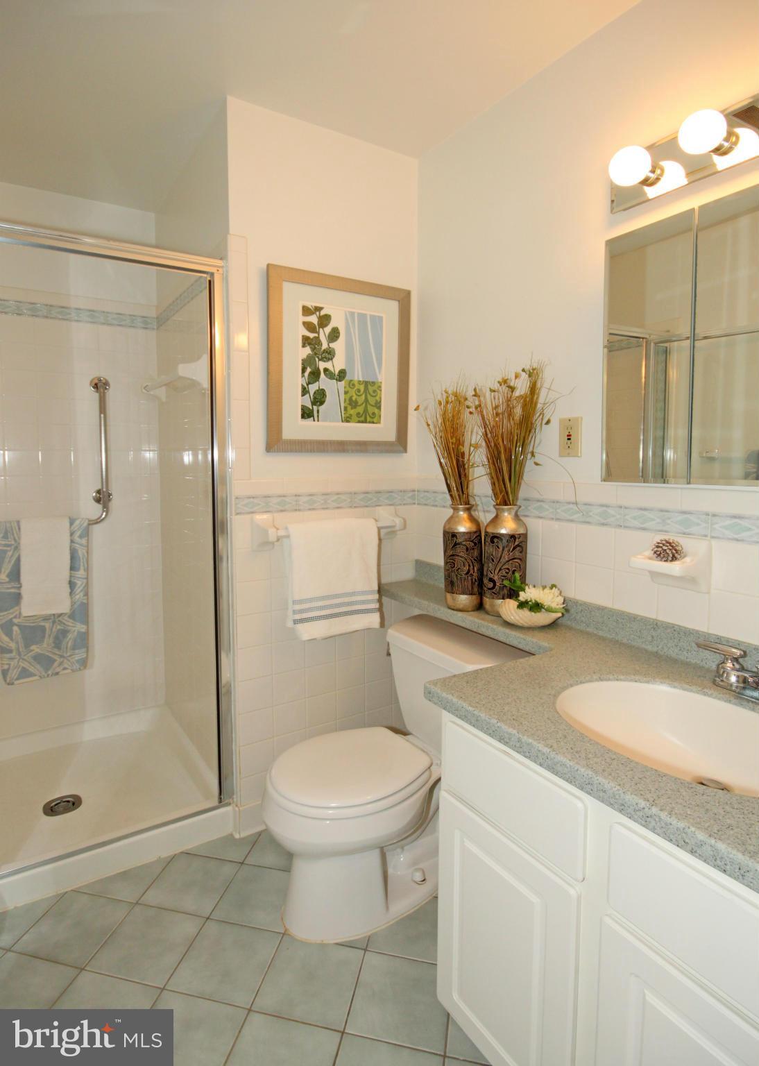 5638 Ravenel Lane Springfield, VA 22151 - Photo 16 of 30 Bath (Master)