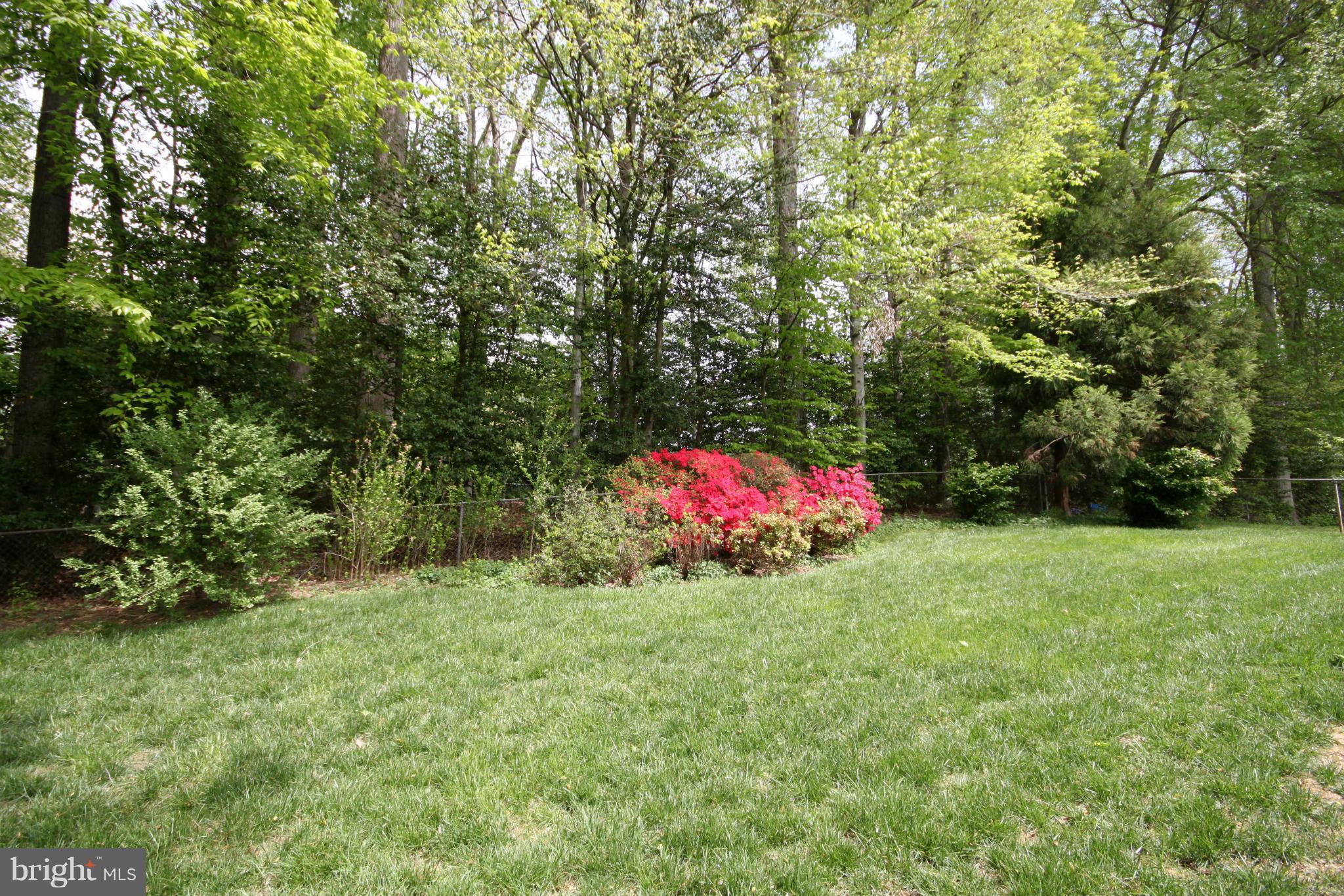 5638 Ravenel Lane Springfield, VA 22151 - Photo 26 of 30 Exterior (General)