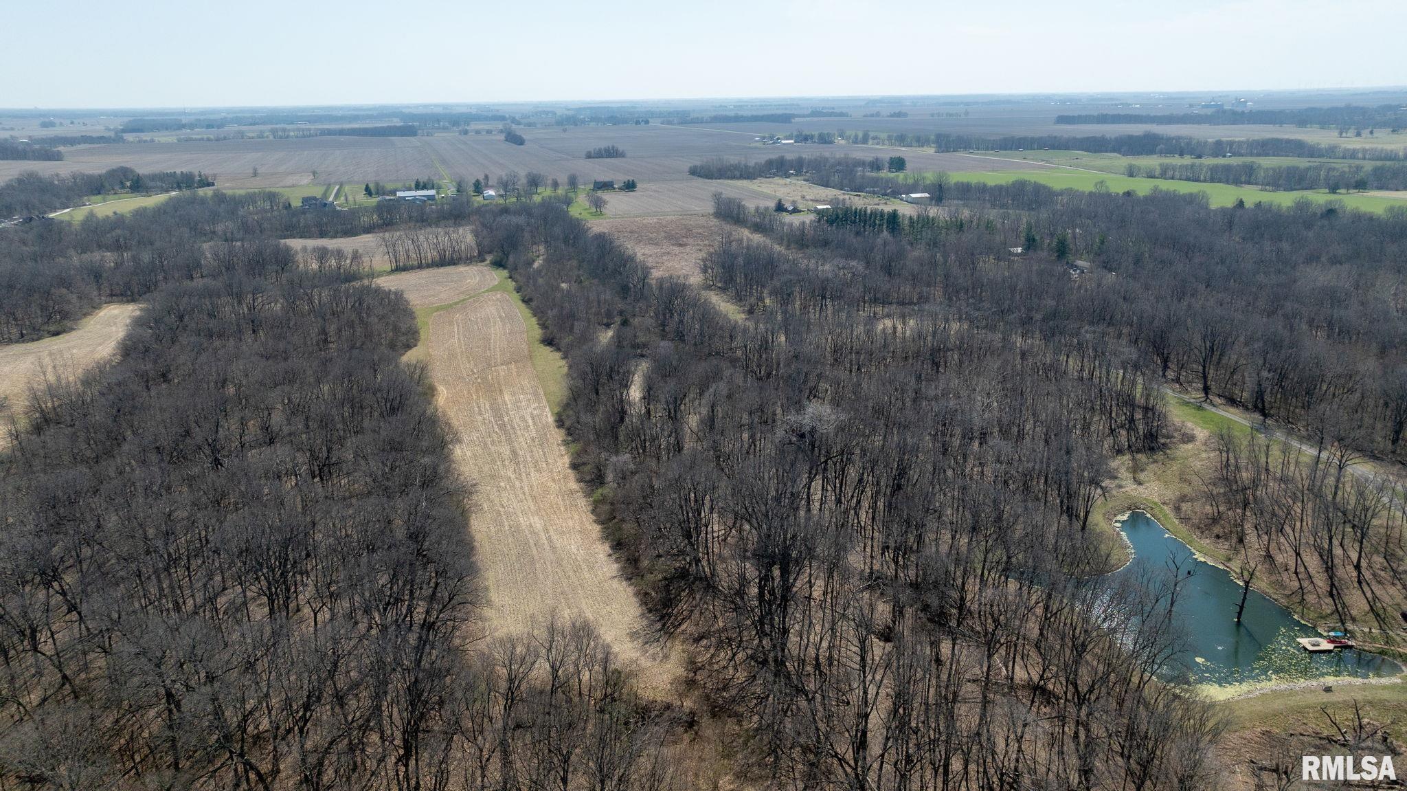 8543 Frey Road Pleasant Plains, IL 62677 - Photo 4 of 13