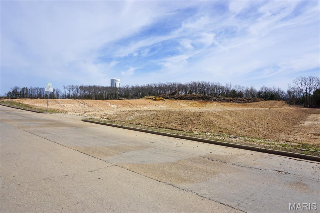 0 McCutchen Road Rolla, MO 65401 - Photo 4 of 9
