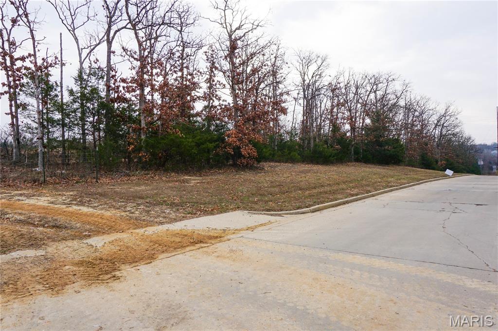 0 McCutchen Road Rolla, MO 65401 - Photo 6 of 8