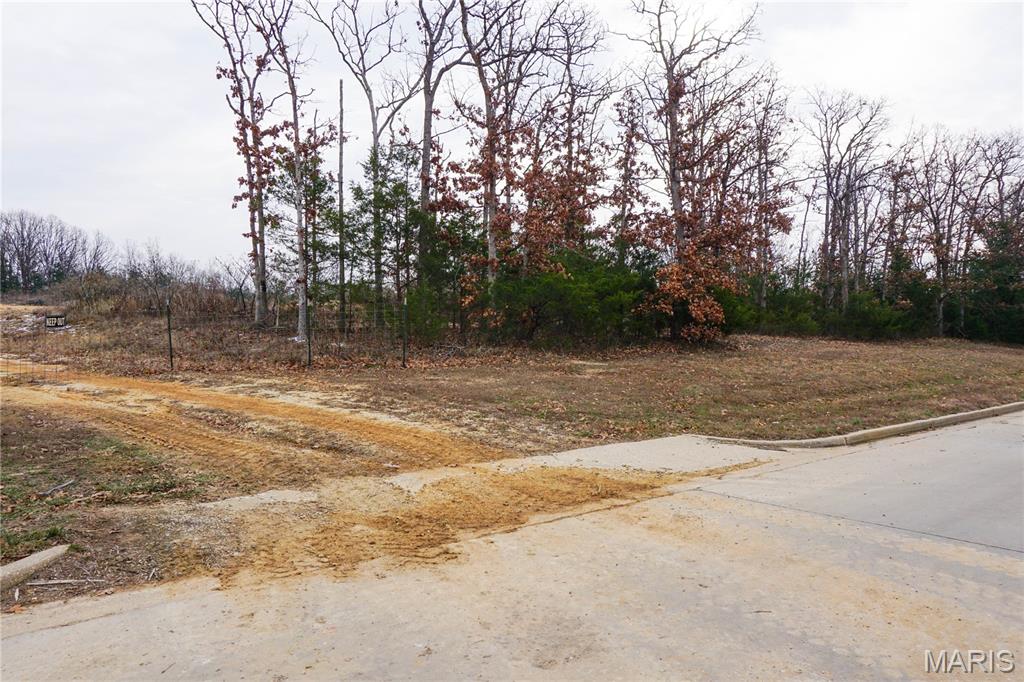 0 McCutchen Road Rolla, MO 65401 - Photo 7 of 8