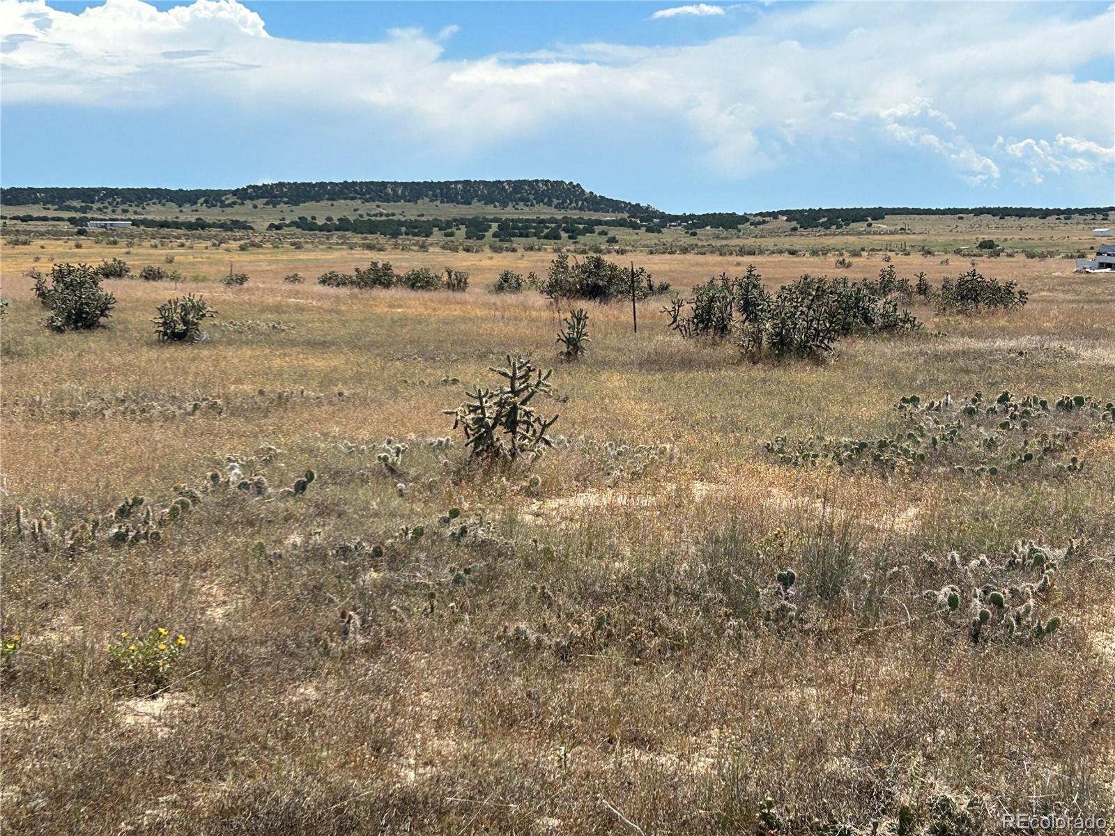 Lot 4 Outback Ranch Model, CO 81059 - Photo 12 of 20