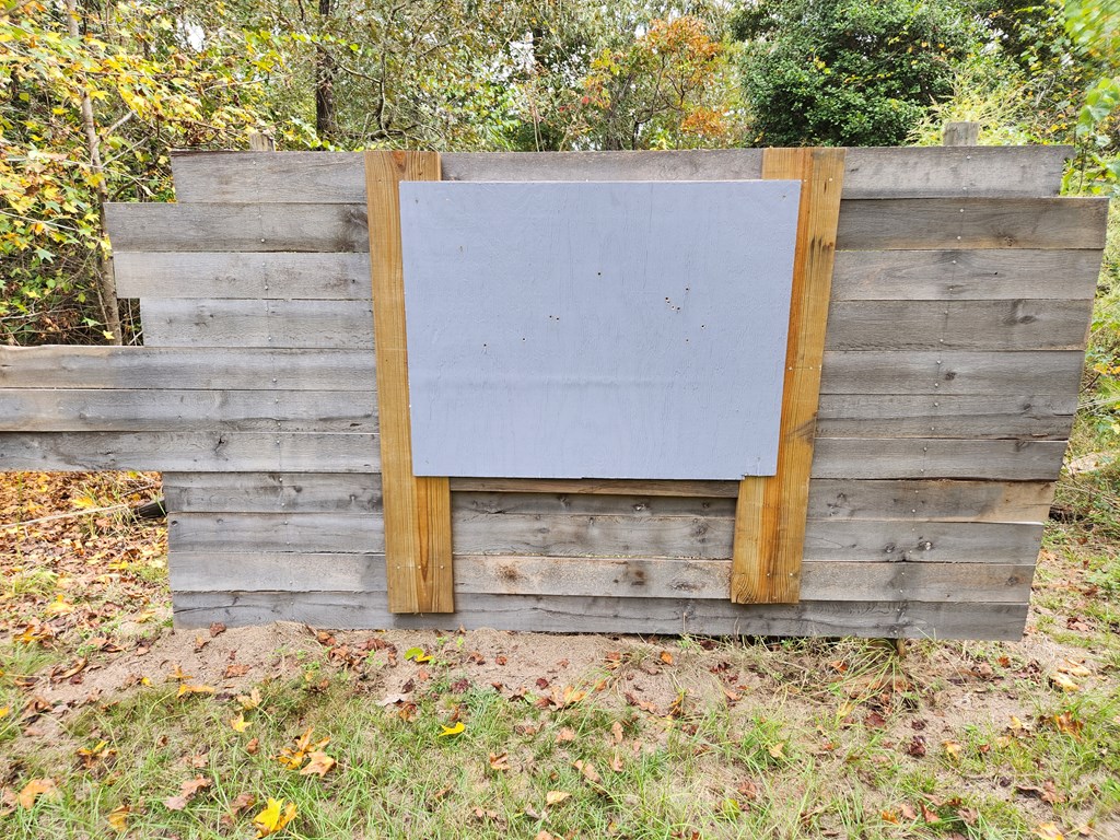 742 County Line Road Buena Vista, GA 31803 - Photo 39 of 74 Target at Gun Range