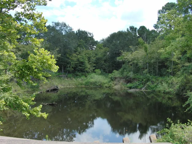 a view of a lake view with lots of green space