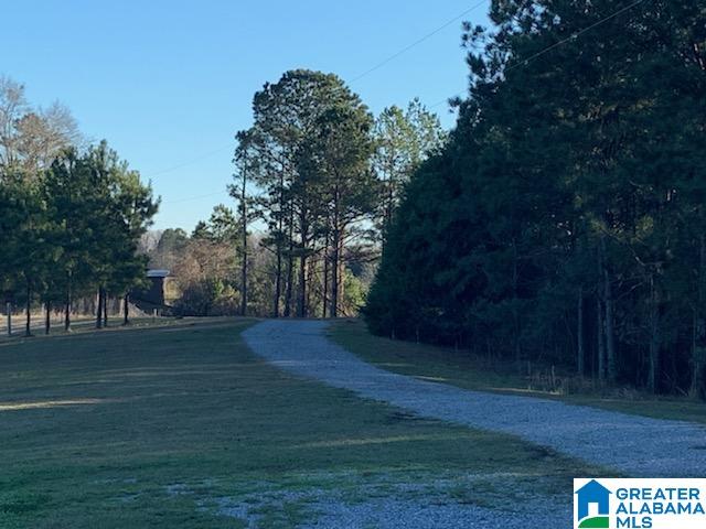 110 Old West Road, Unit 1 Thorsby, AL 35171 - Photo 1 of 4