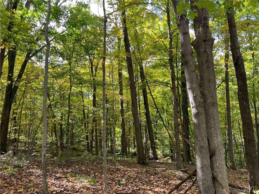 0 East Swamp Road Conesus, NY 14435 - Photo 11 of 23