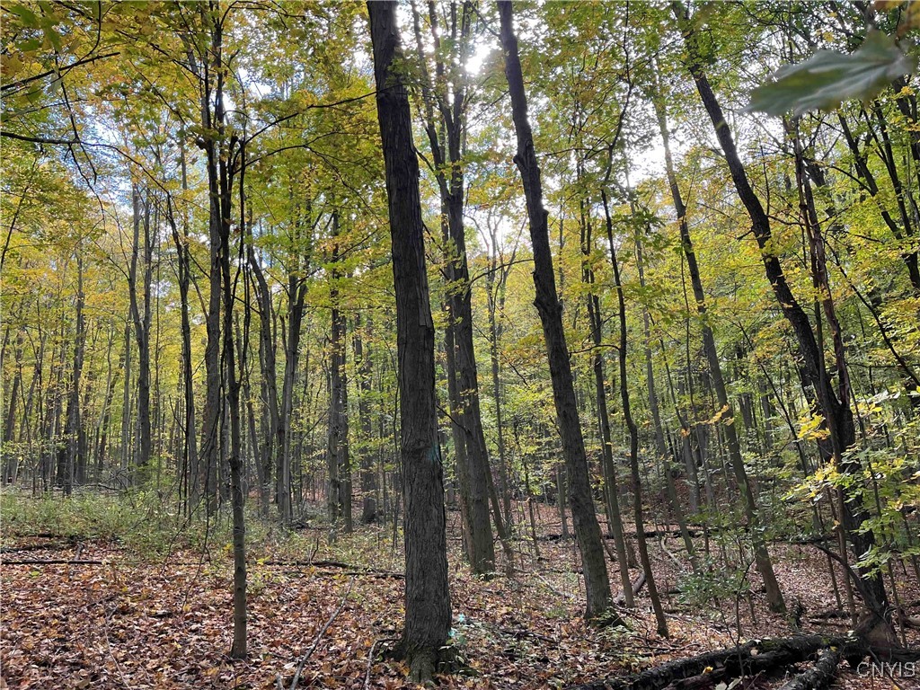 0 East Swamp Road Conesus, NY 14435 - Photo 13 of 23