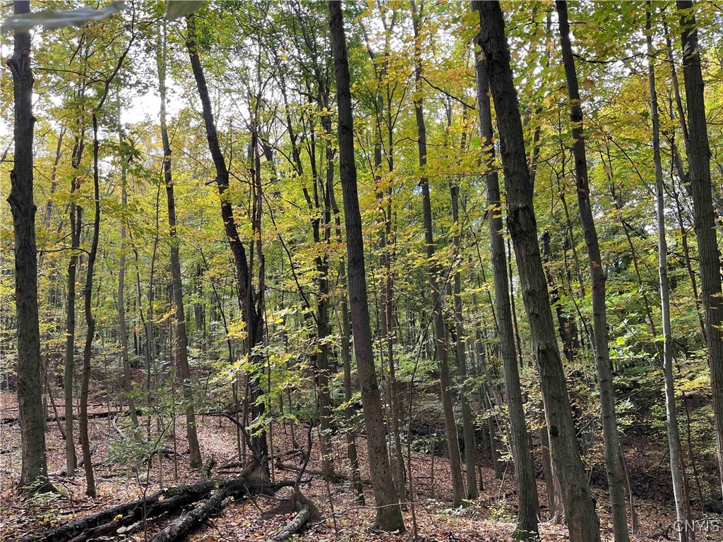 0 East Swamp Road Conesus, NY 14435 - Photo 14 of 23