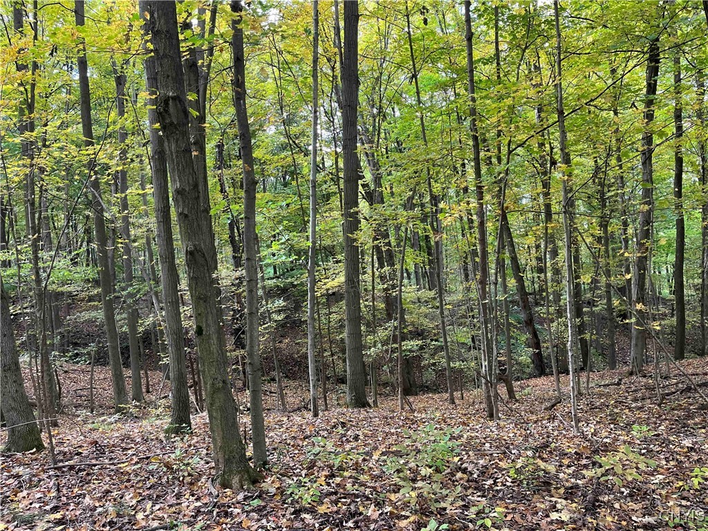 0 East Swamp Road Conesus, NY 14435 - Photo 15 of 23