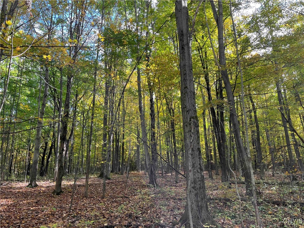 0 East Swamp Road Conesus, NY 14435 - Photo 16 of 23