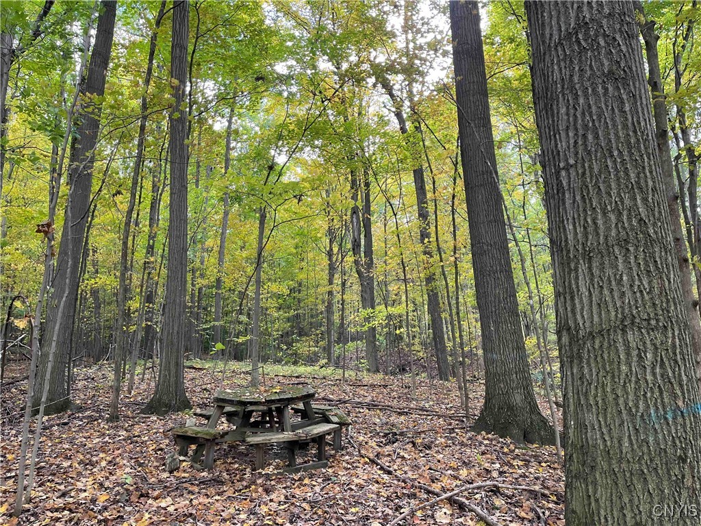 0 East Swamp Road Conesus, NY 14435 - Photo 17 of 23