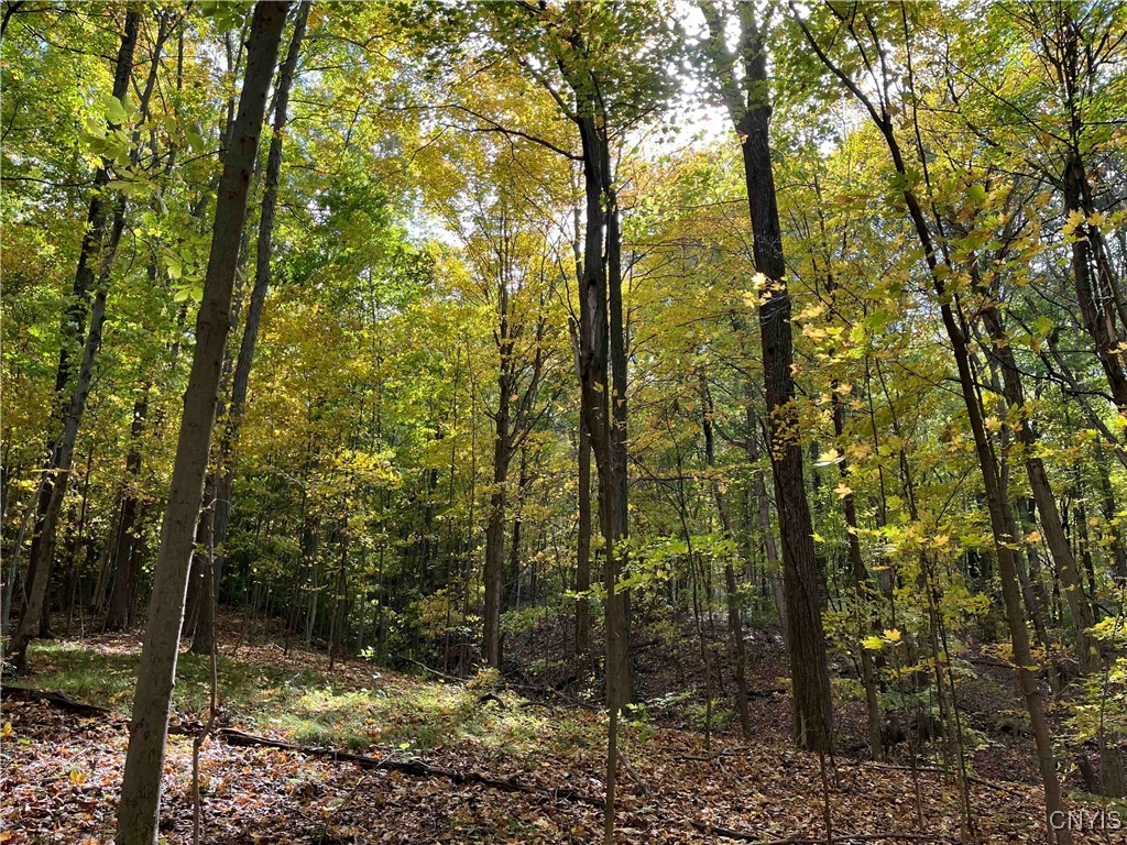 0 East Swamp Road Conesus, NY 14435 - Photo 18 of 23