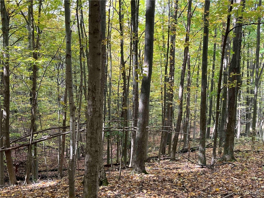 0 East Swamp Road Conesus, NY 14435 - Photo 20 of 23