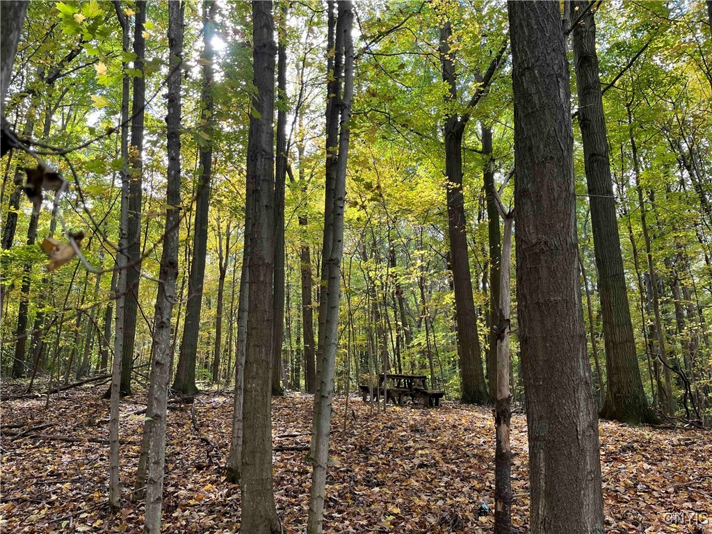 0 East Swamp Road Conesus, NY 14435 - Photo 2 of 23