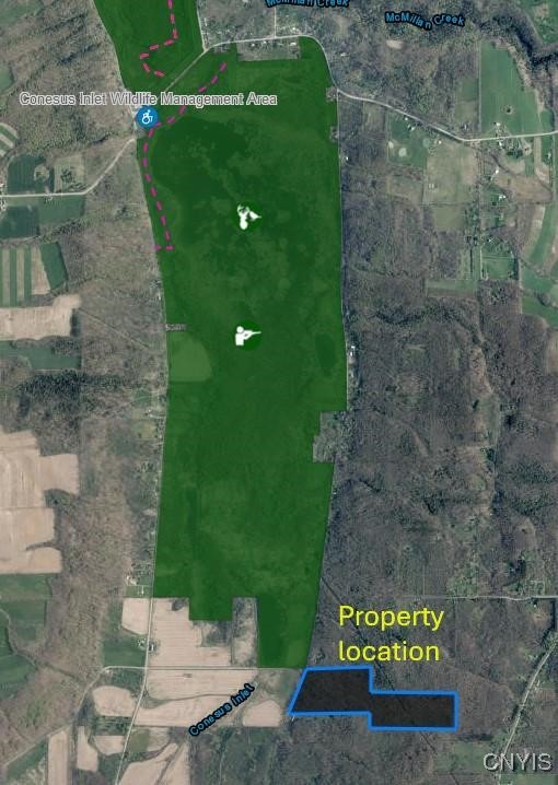 0 East Swamp Road Conesus, NY 14435 - Photo 21 of 23