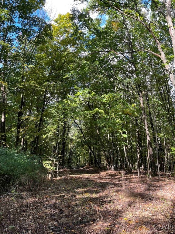 0 East Swamp Road Conesus, NY 14435 - Photo 3 of 23