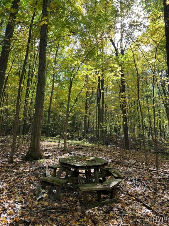 0 East Swamp Road Conesus, NY 14435 - Photo 4 of 23