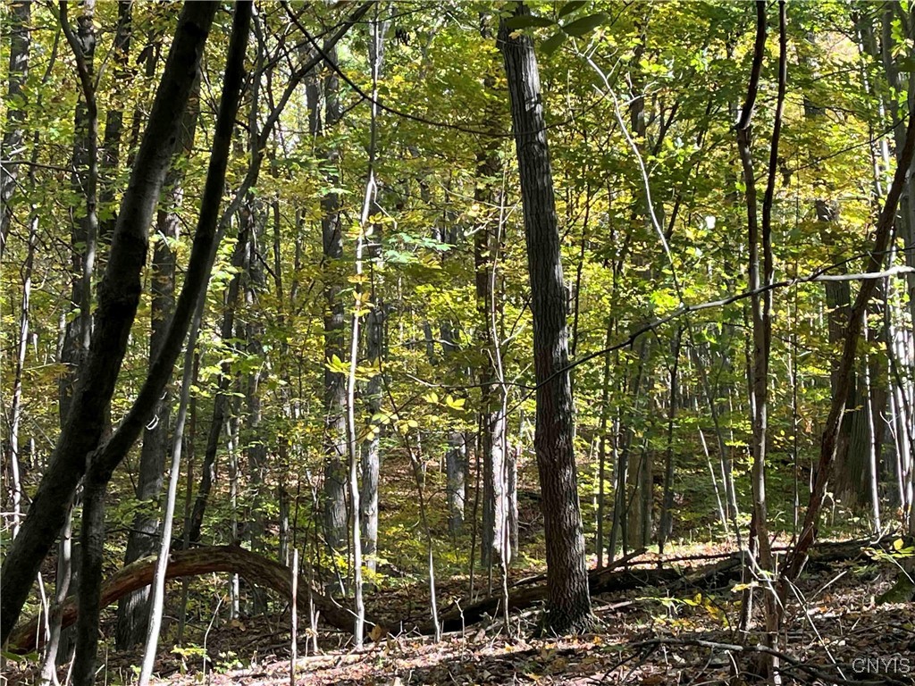 0 East Swamp Road Conesus, NY 14435 - Photo 6 of 23