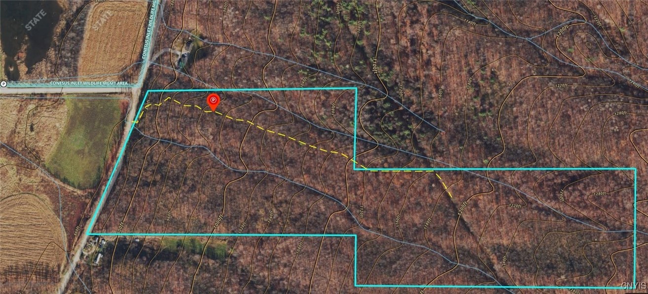 0 East Swamp Road Conesus, NY 14435 - Photo 7 of 23