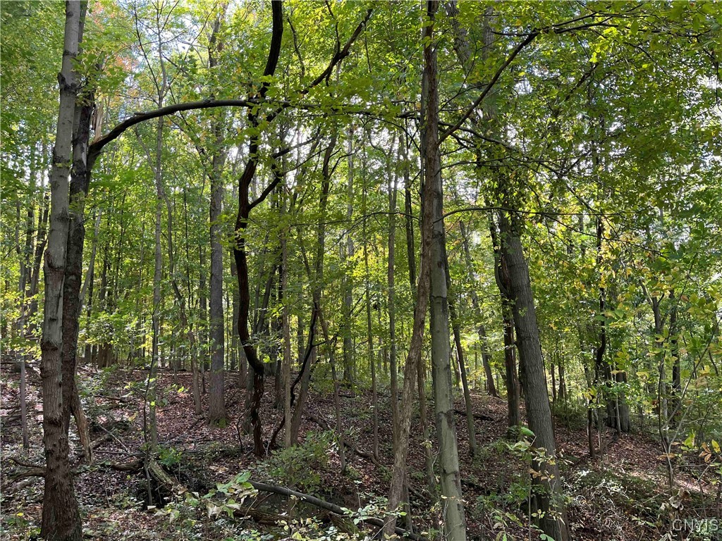 0 East Swamp Road Conesus, NY 14435 - Photo 9 of 23