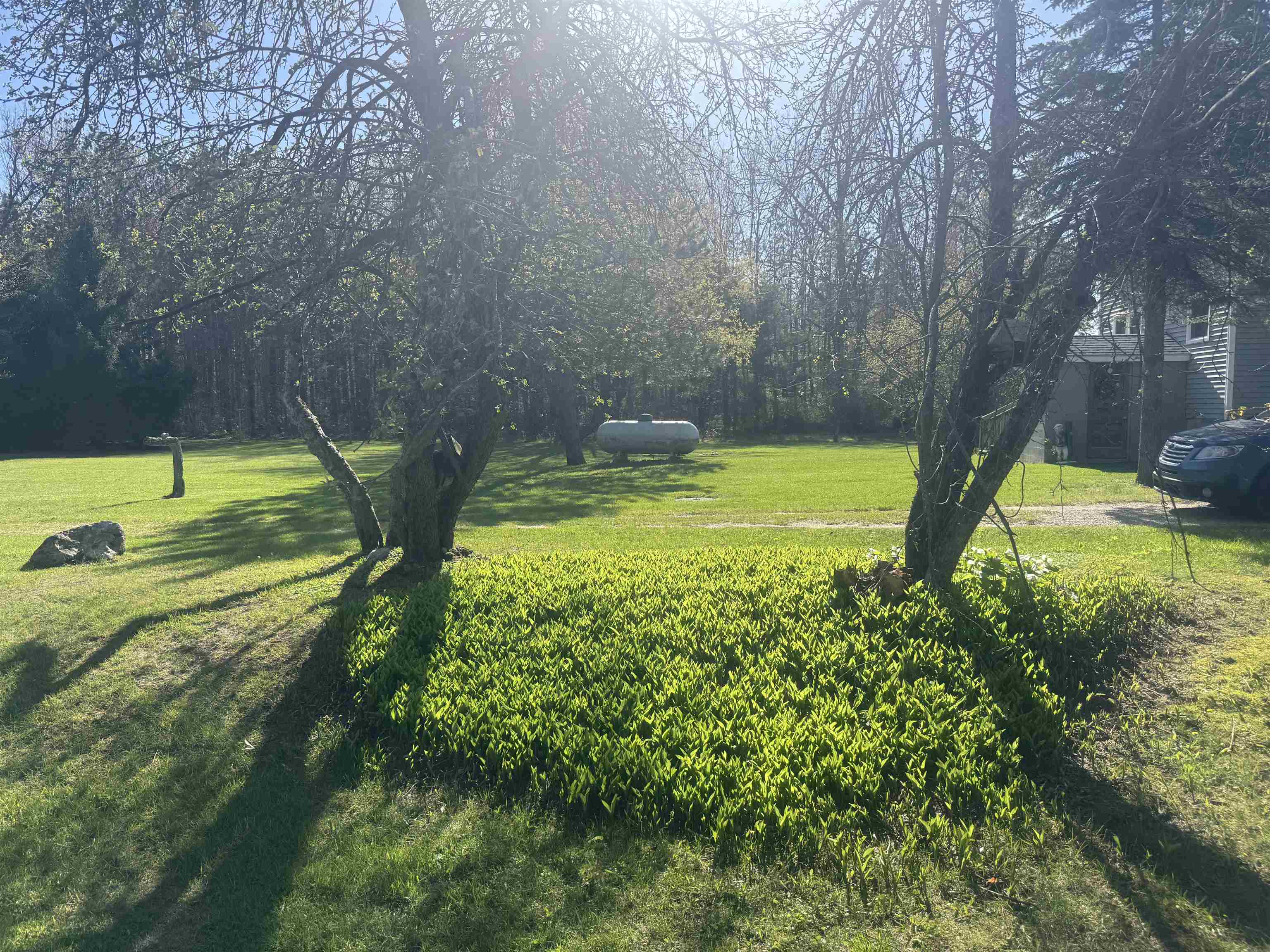 1012 South 35 Road Cadillac, MI 49601 - Photo 3 of 30