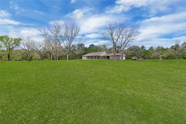 a view of a field of grass and trees