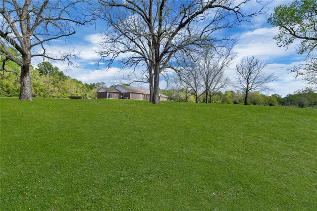 a view of a field of grass and trees