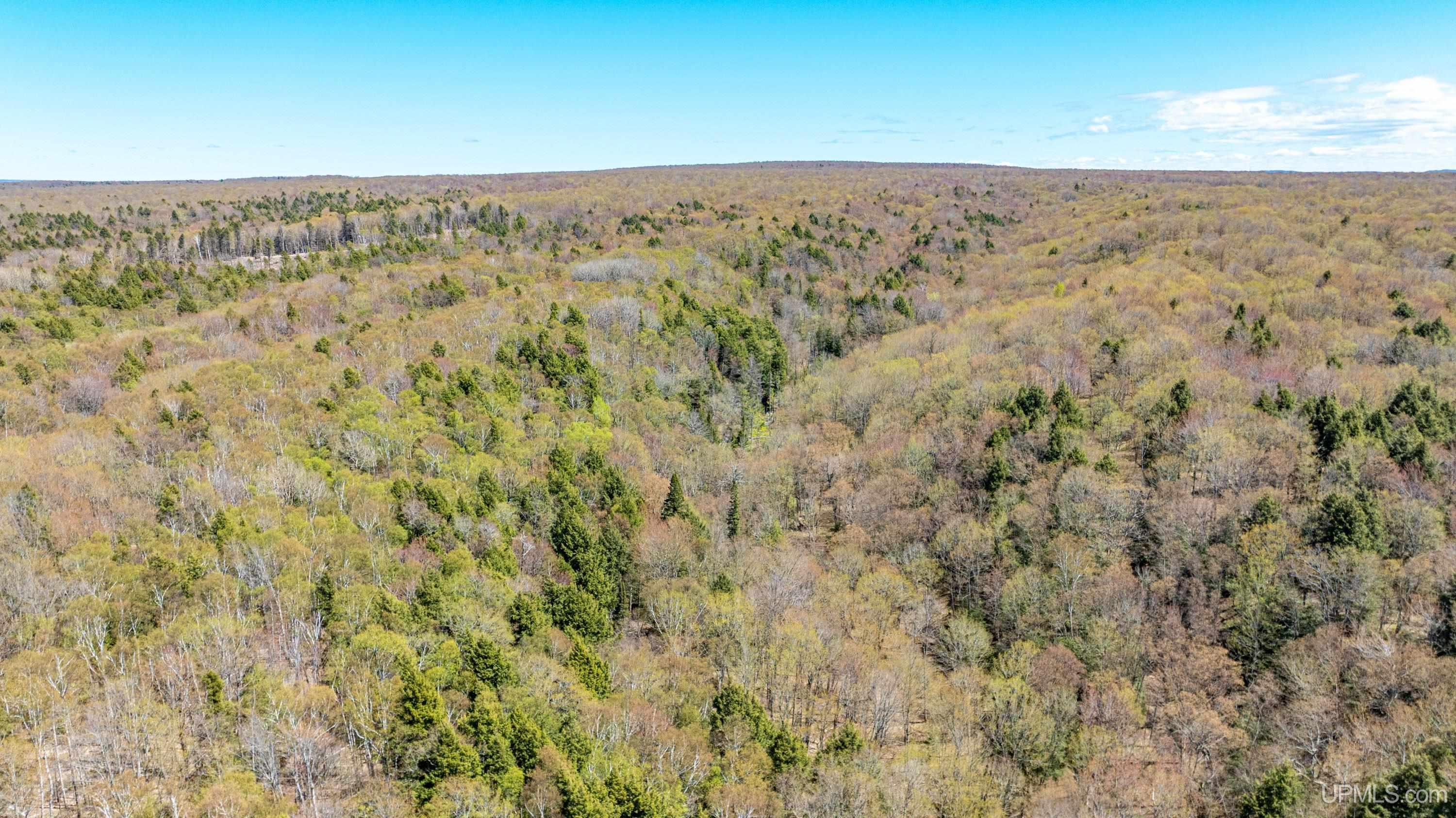 49190 Upper Freda Shores Road Atlantic Mine, MI 49905 - Photo 67 of 68