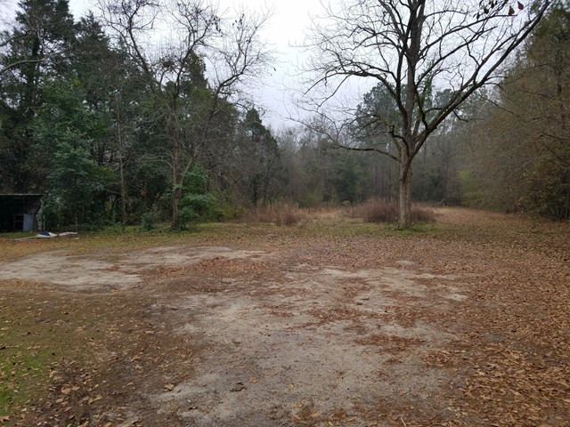 3430 Milledgeville Road Augusta, GA 30909 - Photo 9 of 9