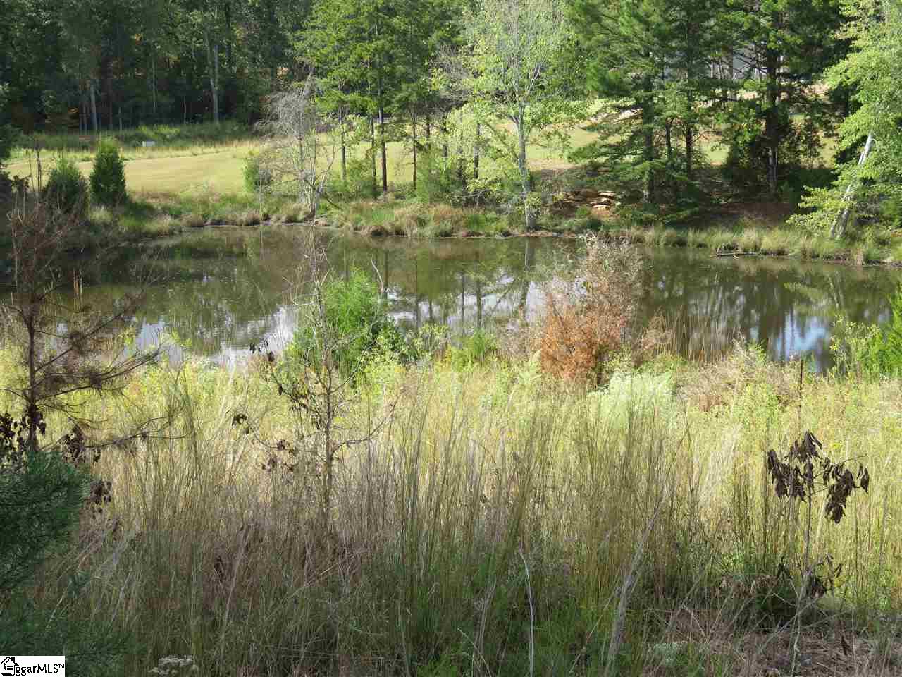 1608 Neely Ferry Road, Unit TRACT A Simpsonville, SC 29680 - Photo 2 of 4