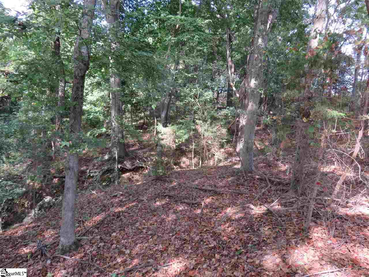 1608 Neely Ferry Road, Unit TRACT A Simpsonville, SC 29680 - Photo 3 of 4