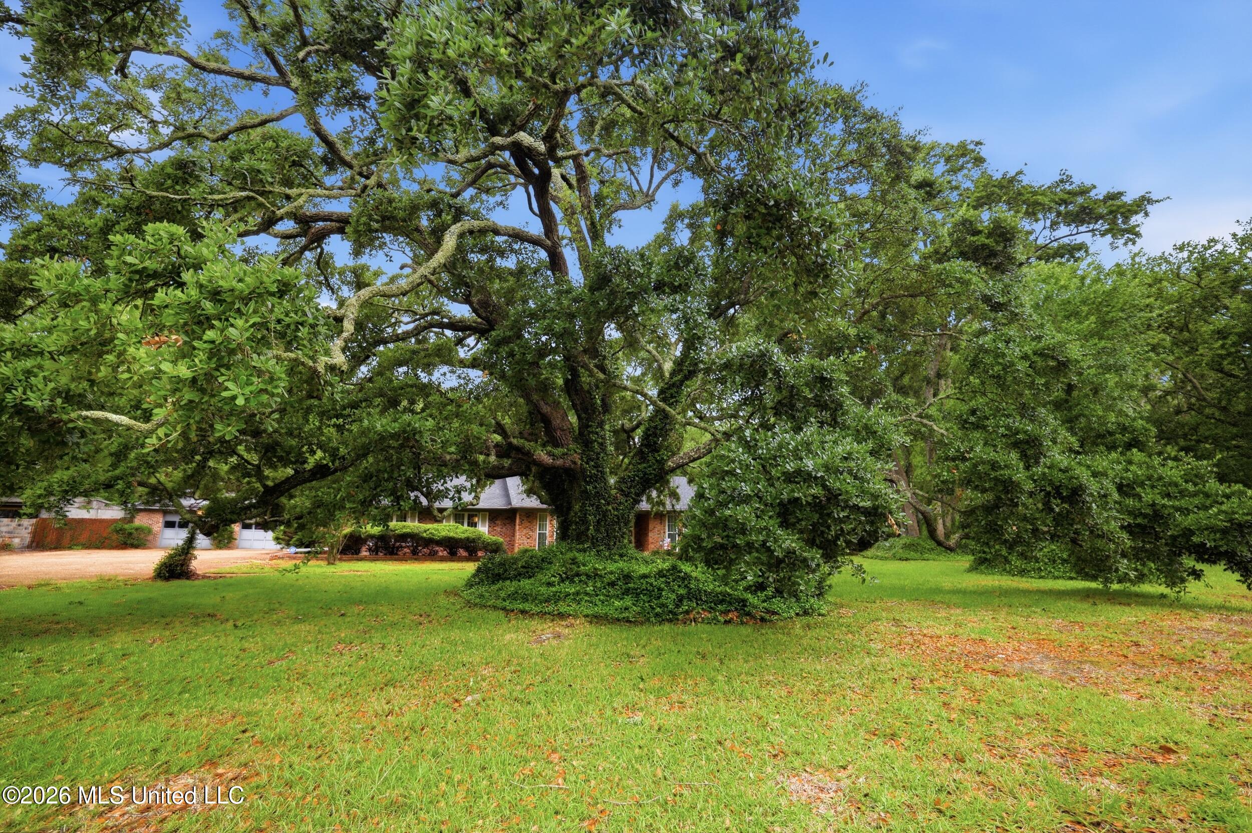 1237 Main Street Ocean Springs, MS 39564 - Photo 6 of 62 63_r6__8102