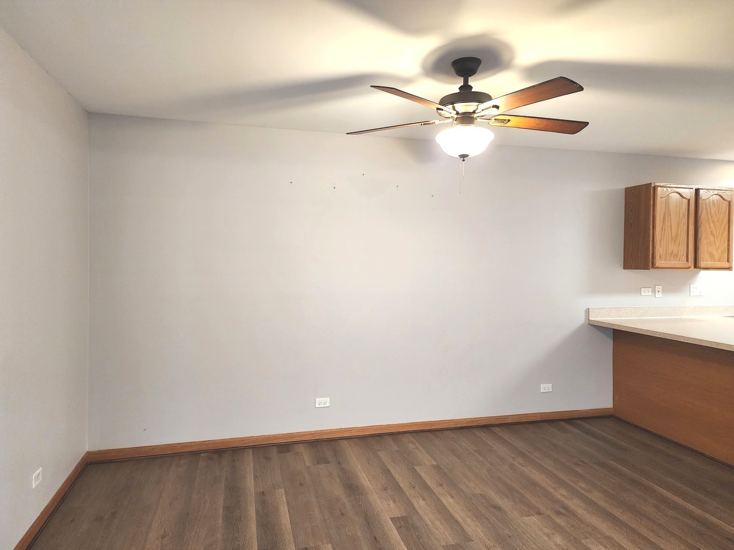 532 Elizabeth Street Maple Park, IL 60151 - Photo 6 of 14 a view of a livingroom with a ceiling fan and wooden floor